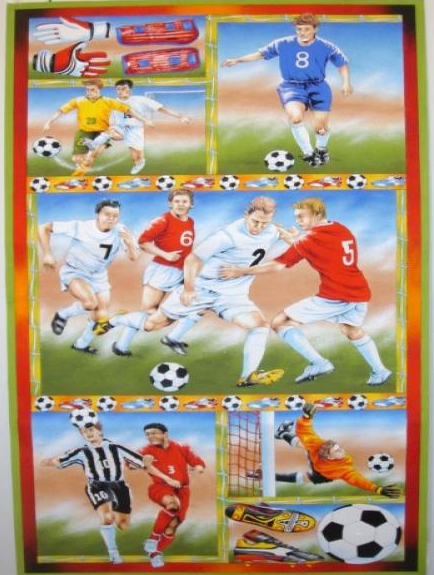 Панель "Football Fever" 