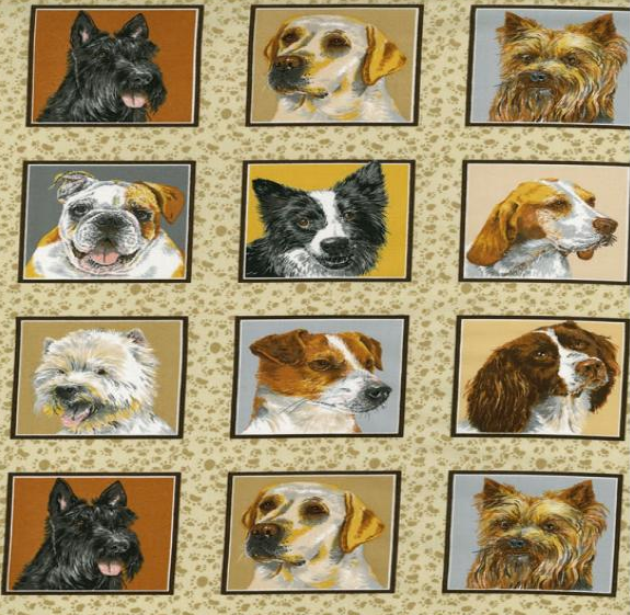 Купон "Doggies Delight" квадраты 